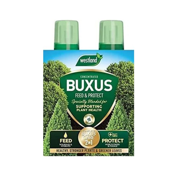 Buxus Feed & Protect