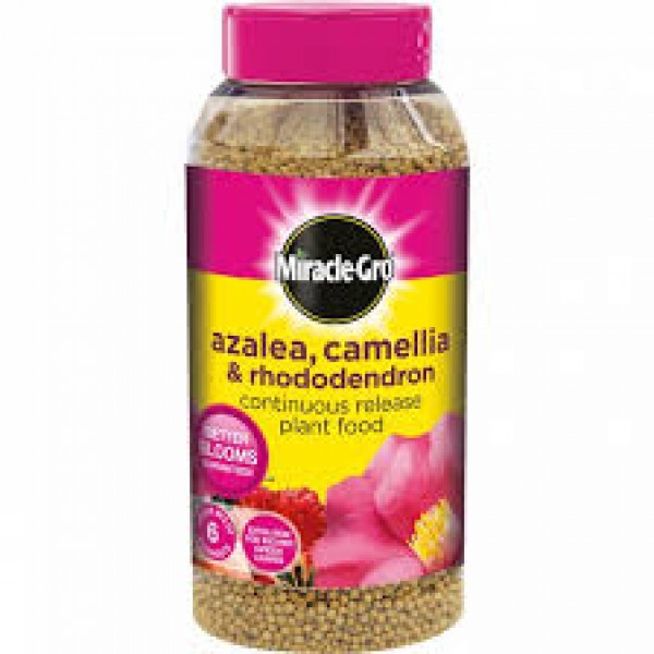 Miracle-Gro azalea, camelia, rhododendron plant food 1kg