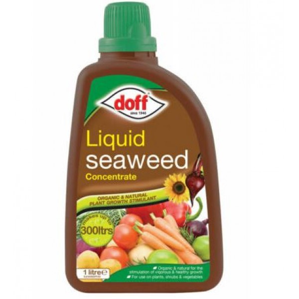Seaweed - Liquid - Doff - x1L