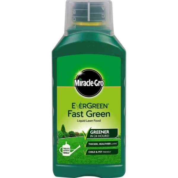 Evergreen Fast Green liquid - 100m2