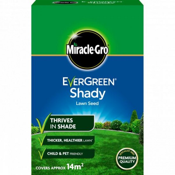 Evergreen Shady lawn seed - 14m2
