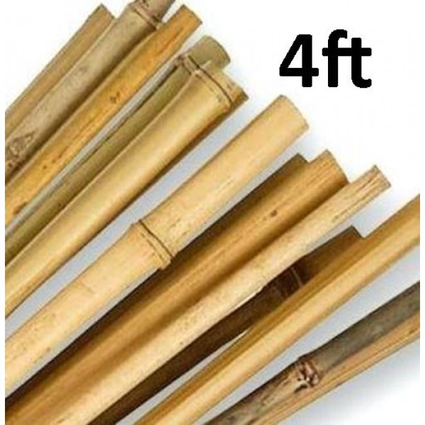 Bamboo canes - 4ft x10