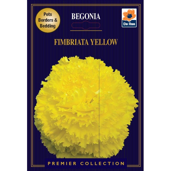 De Ree Begonia Fimbriata Yellow - Premier Collection