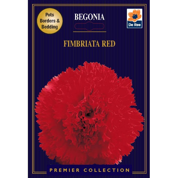 De Ree Begonia Fimbriata Red - Premier Collection