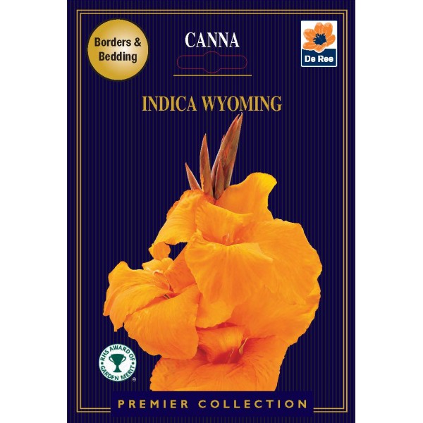 De Ree Canna Indica Wyoming - Premier Collection