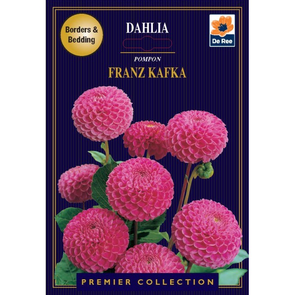 De Ree Dahlia Pompom Franz Kafka - Premier Collection