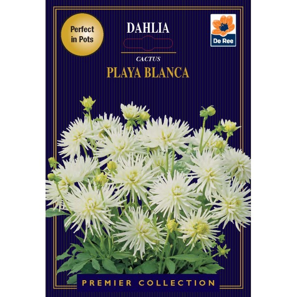 De Ree Dahlia Park Playa Blanca - Premier Collection