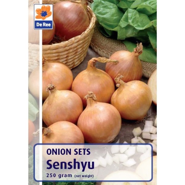 Senshyu Onions - 250G