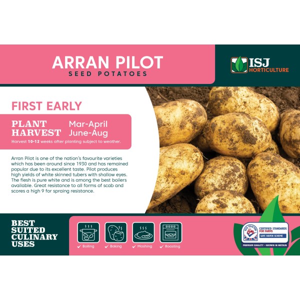 Seed Potatoes - First Early Arran Pilot x4