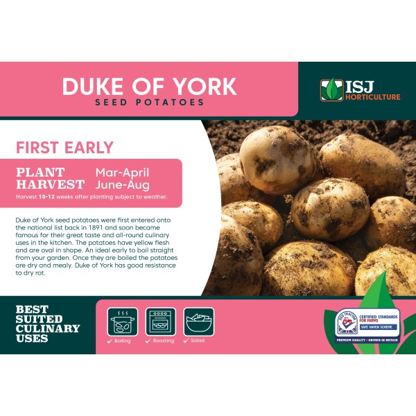 Seed Potatoes - Red Duke of York - x4