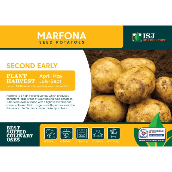 Seed Potatoes - SECOND EARLIES - Marfona x4