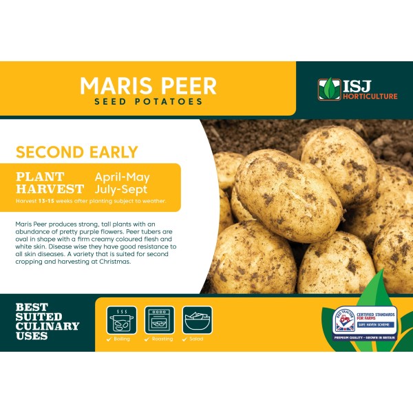 Seed Potatoes - SECOND EARLIES - Maris Piper x4