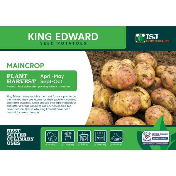 Seed Potatoes - MAINCROP - King Edward x4