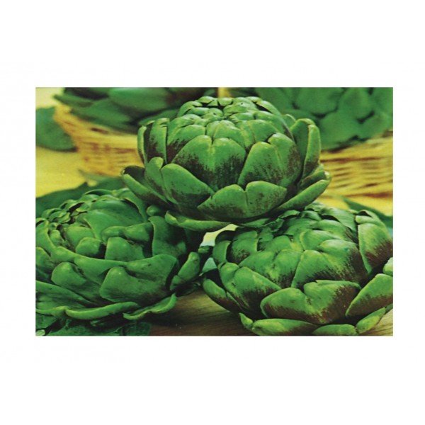 Kings Artichoke Green Globe