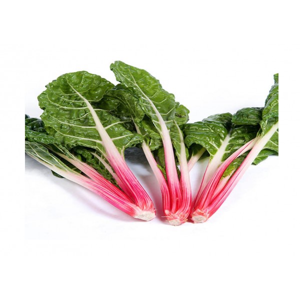 Kings Leaf Beet Rhubarb Chard Peppermint