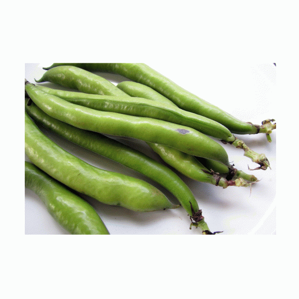 Kings Broad Bean Witkiem Manita