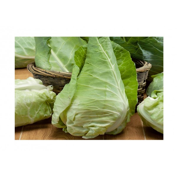Kings Cabbage  April