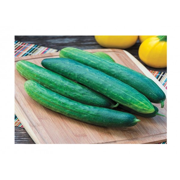 Kings Cucumber Burpless Tasty Green