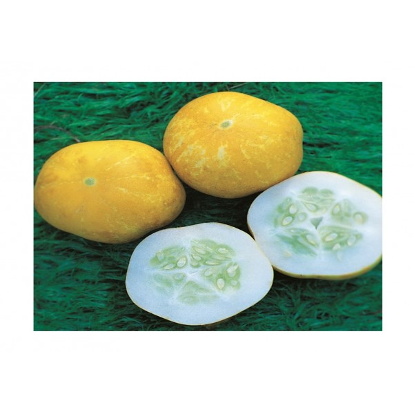 Kings Cucumber Crystal Lemon