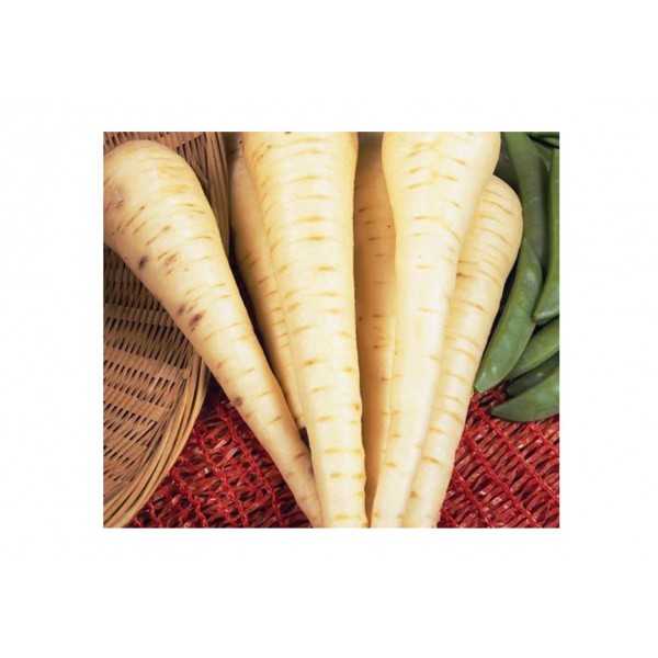 Kings Parsnip Imperial Crown