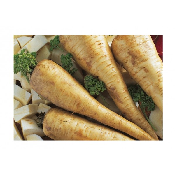 Kings Parsnip Tender & True