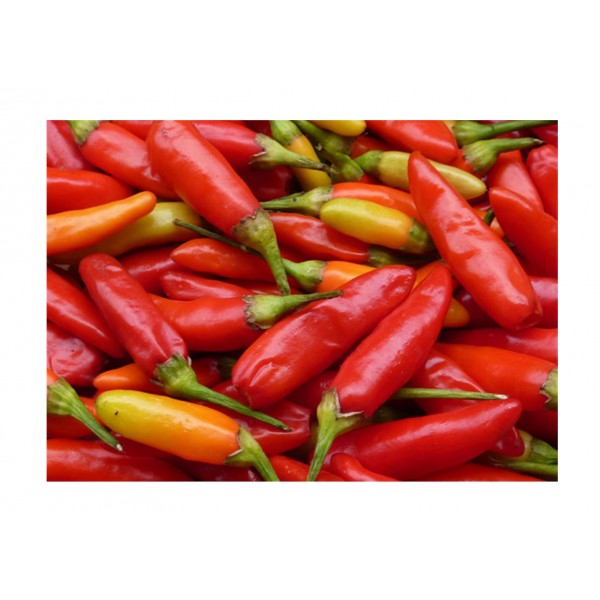 Kings Pepper Chilli  Tabasco