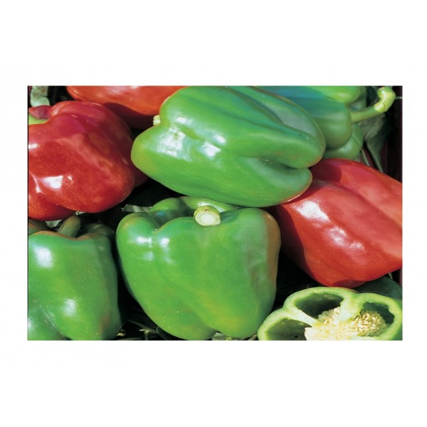 Kings Pepper Sweet Mixed