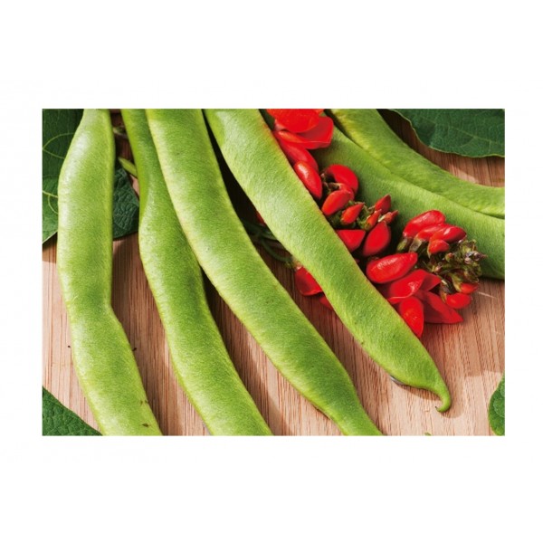 Kings Runner Bean Polestar