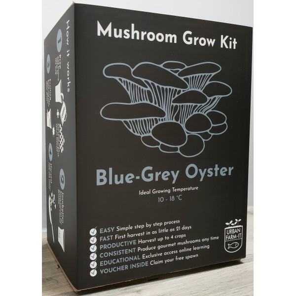 Mushroom Grow Kit - Blue Grey Oyster 