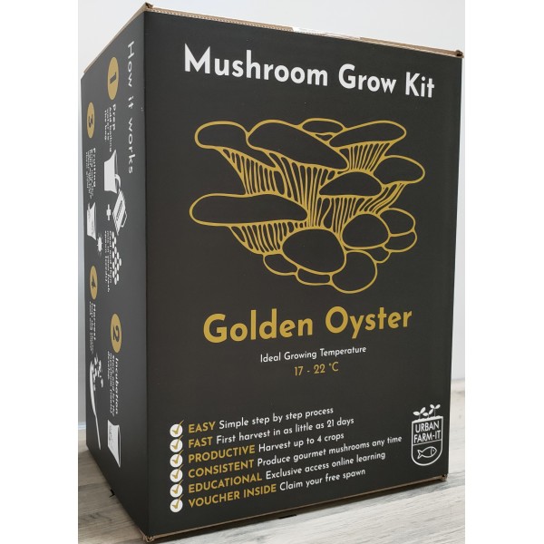 Mushroom Grow Kit - Golden Oyster 