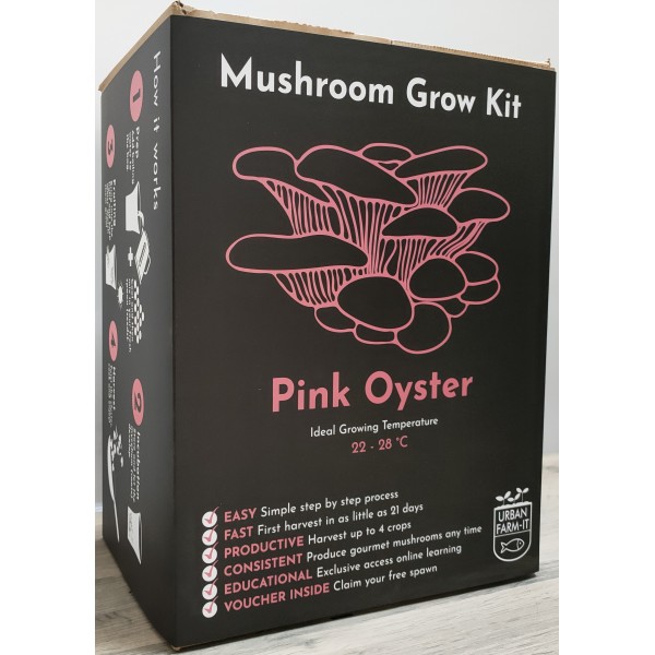 Mushroom Grow Kit - Pink Oyster 