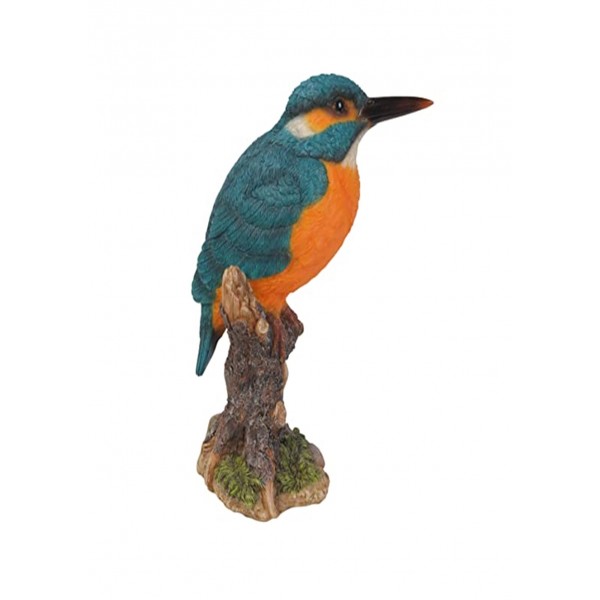Kingfisher on Stump