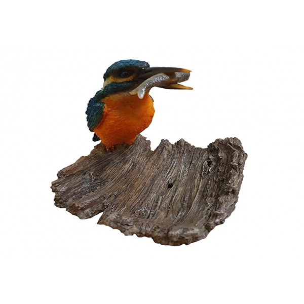 Kingfisher on Driftwood