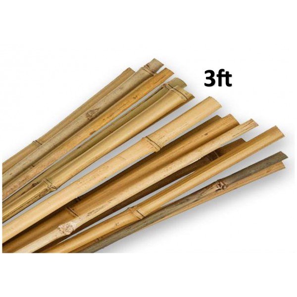 Bamboo Canes - 3ft x 10