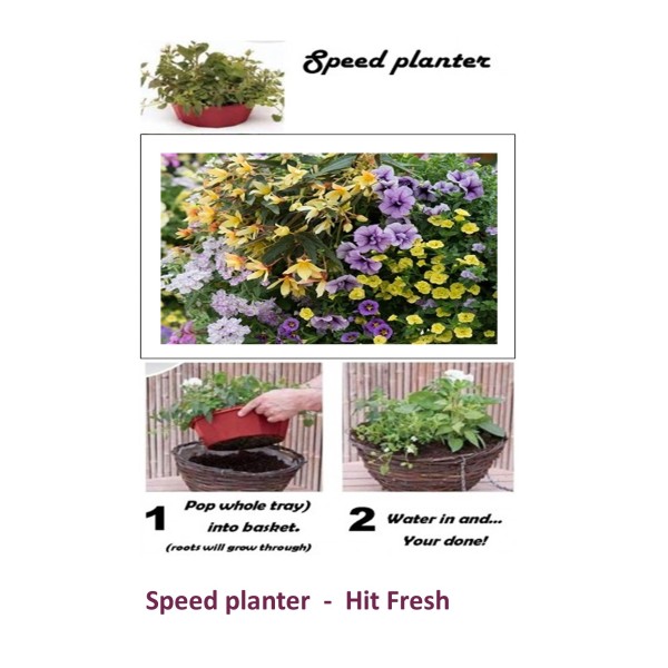 Speed Planter - 'Hit Refresh'