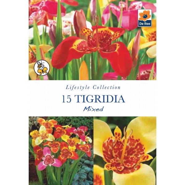 De Ree Tigridia Mixed EXCLUSIVE ONLINE OFFER