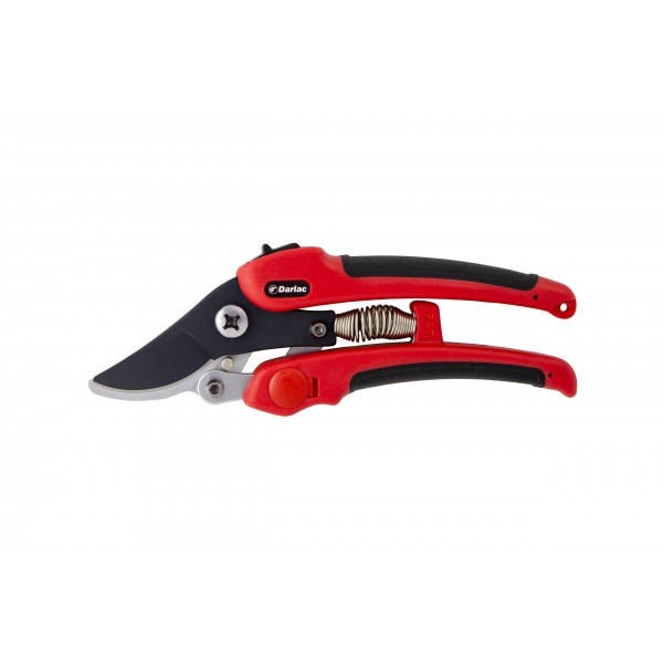 Compound Action Pruner