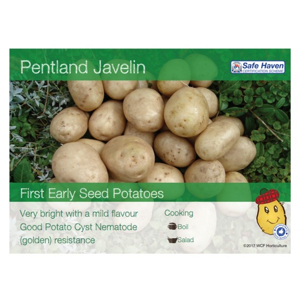 Seed Potatoes - FIRST EARLIES - Pentland Javelin - x5