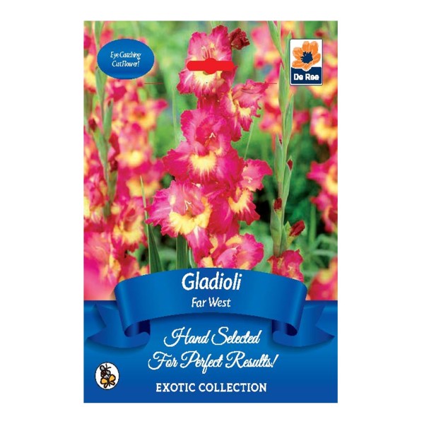 De Ree Gladioli Far West - Exotic Collection
