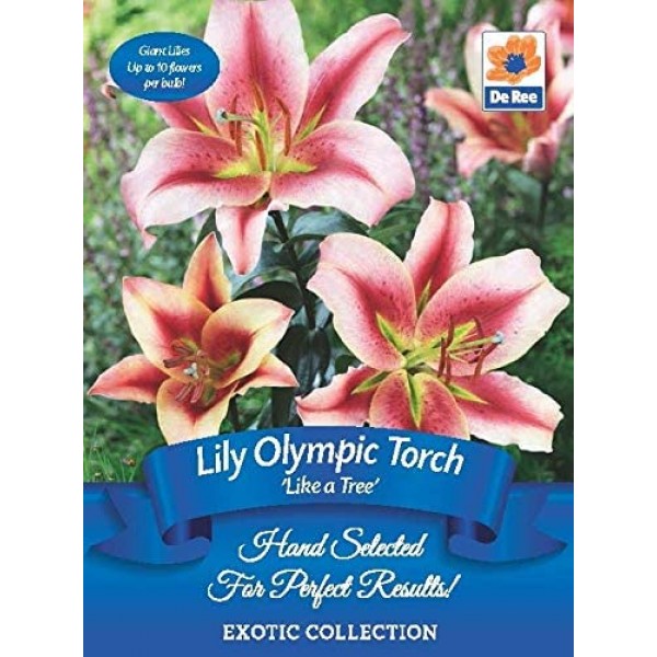 Lily Like a Tree Olympic Torch
