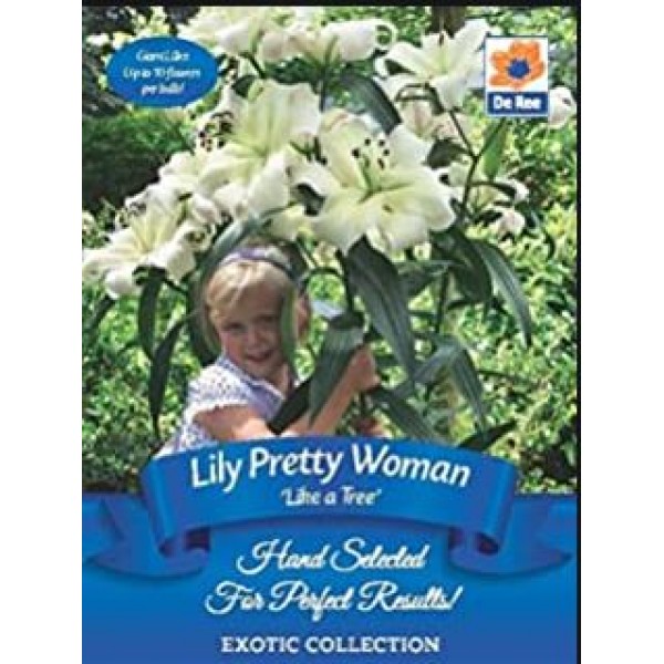 Lily Like a Tree Pretty Woman