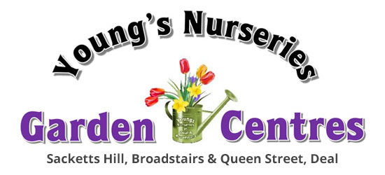 Youngs Nurseries