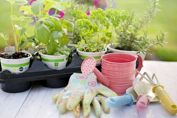 Image of Garden Care at Youngs Nurseries