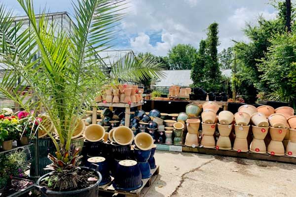 Image of Pots & Planters at Youngs Nurseries