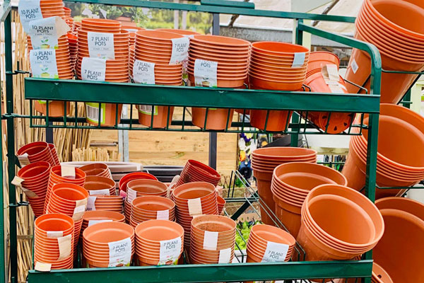 Image of Pots & Planters at Youngs Nurseries